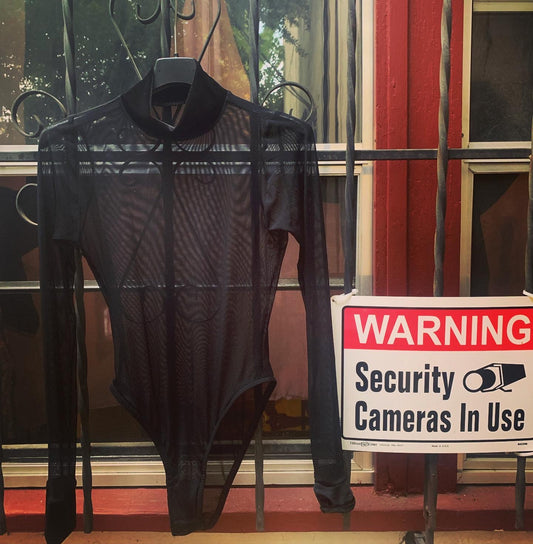 Sheer and velvet body suit